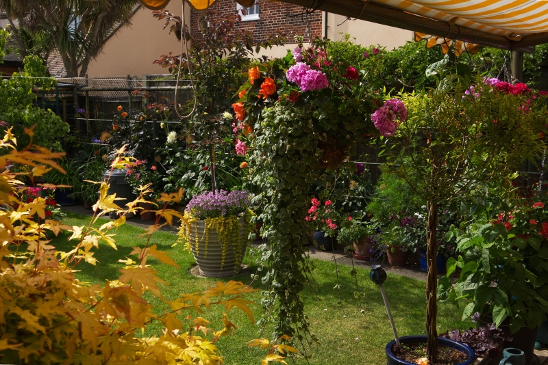 Harwich Gardens